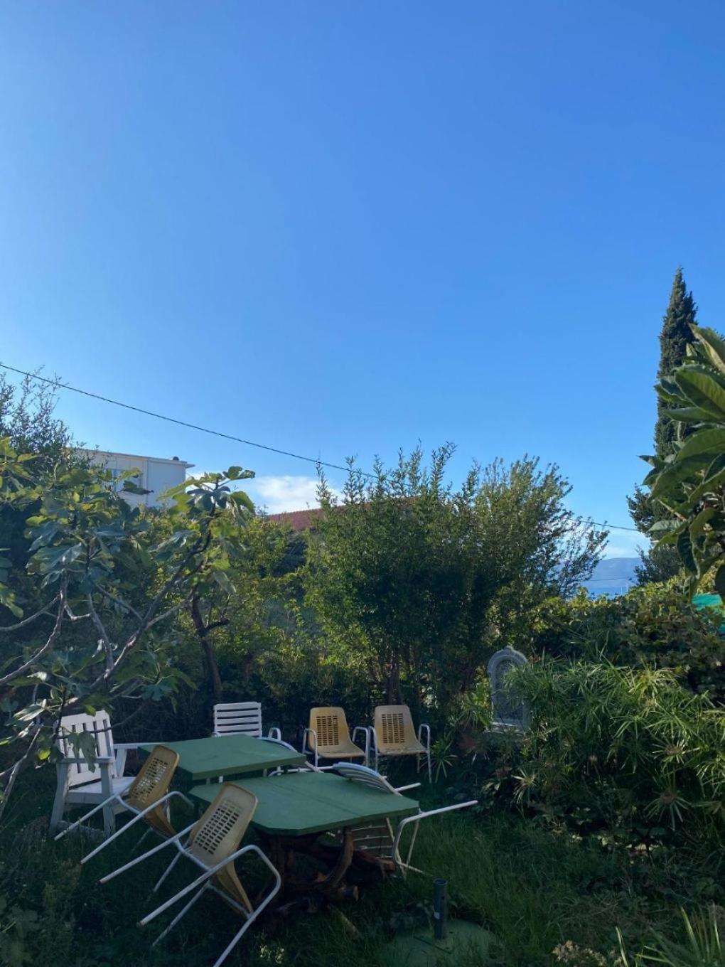 Apartment Biljana Gradac (Split-Dalmatia)